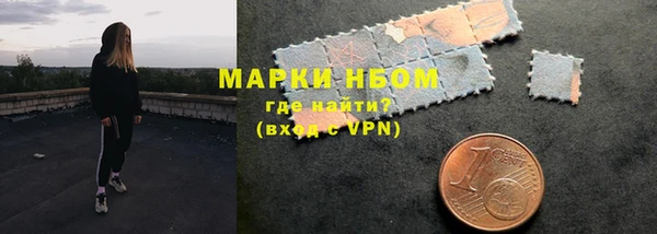 твердый Няндома