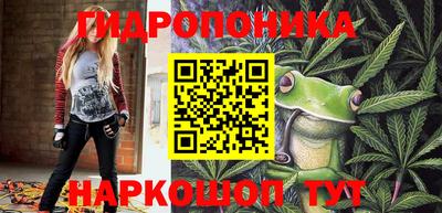 хмурый Аргун