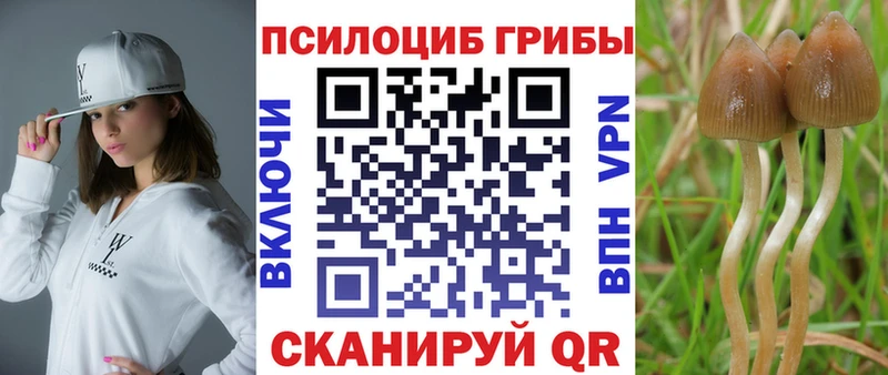 Псилоцибиновые грибы мицелий  магазин    Бердск 