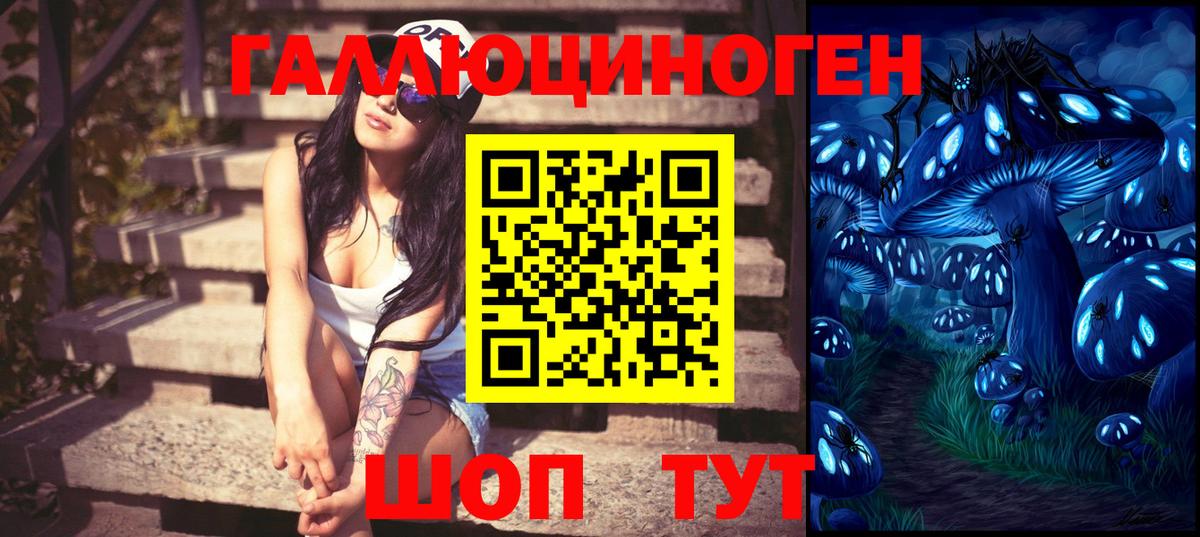 Галлюциногенные грибы Cubensis Бердск