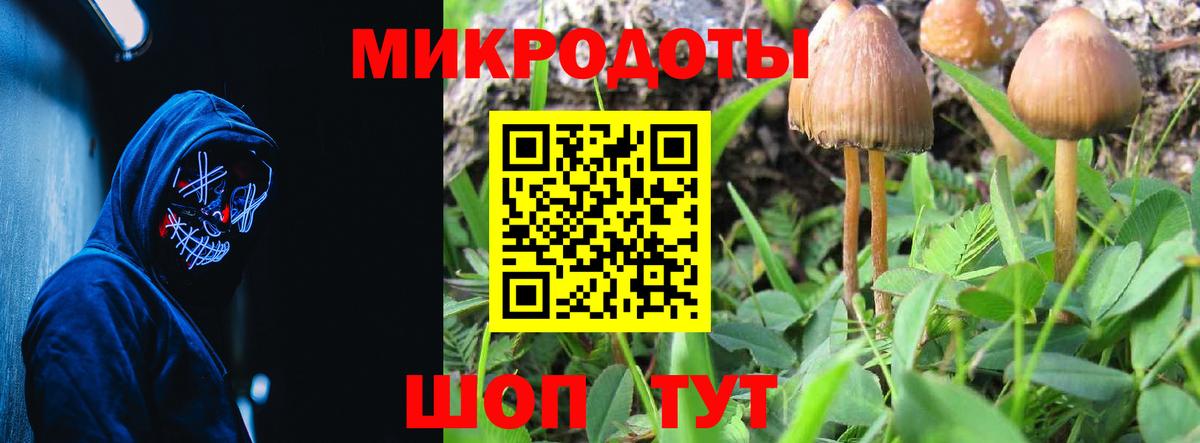 Галлюциногенные грибы Cubensis  Вход с VPN  Бердск 