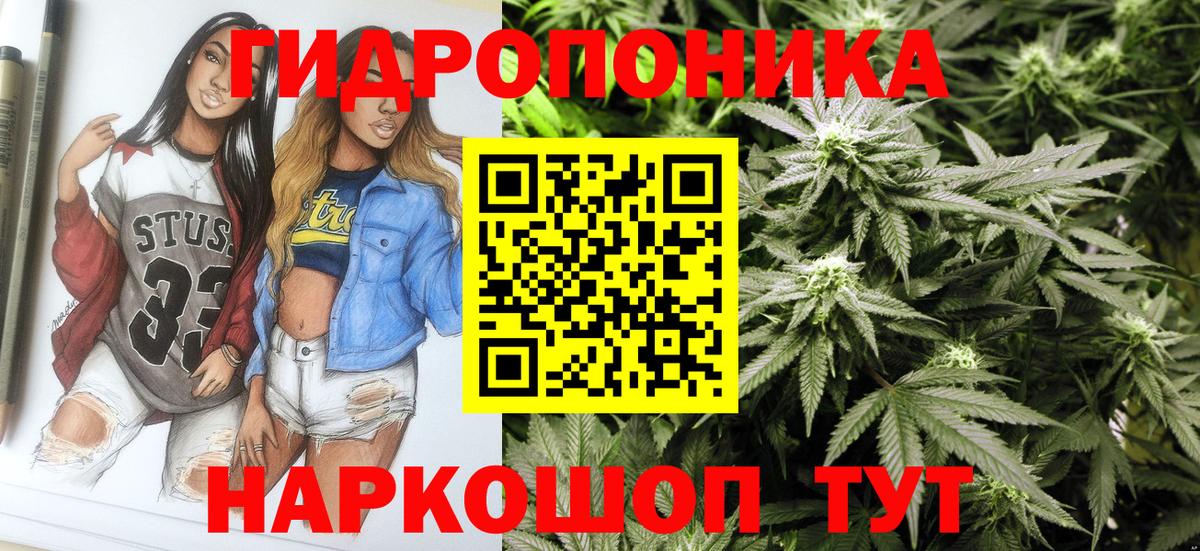 МАРИХУАНА MAZAR  МАРИХУАНА ГИДРОПОН  Вход с VPN  Бердск  МАРИХУАНА тримм 
